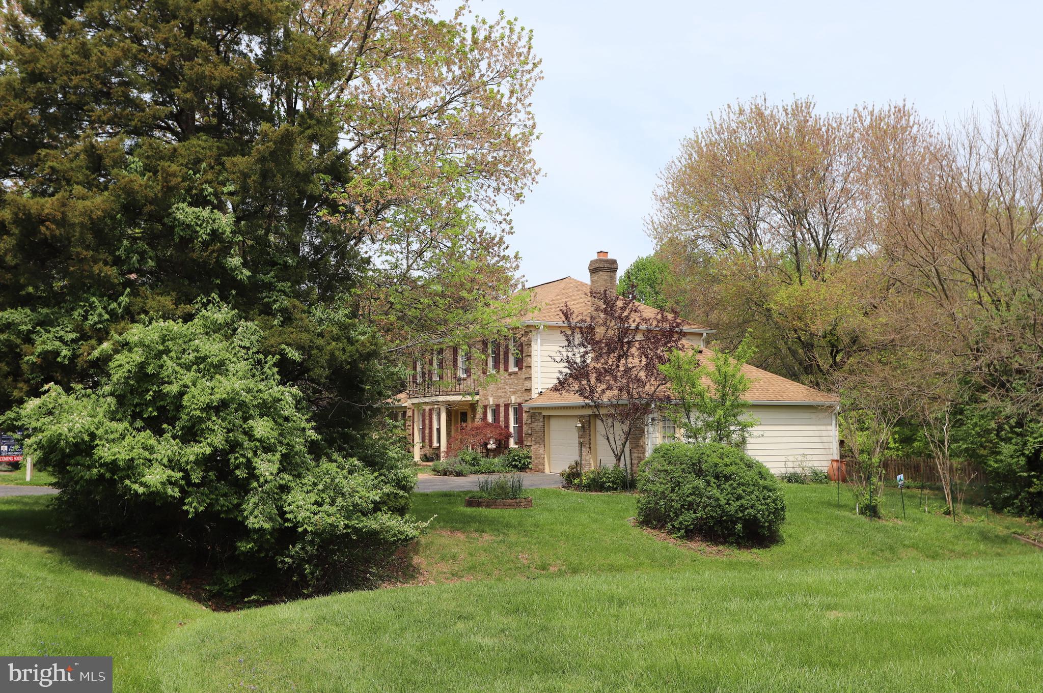 1031 CUP LEAF HOLLY COURT