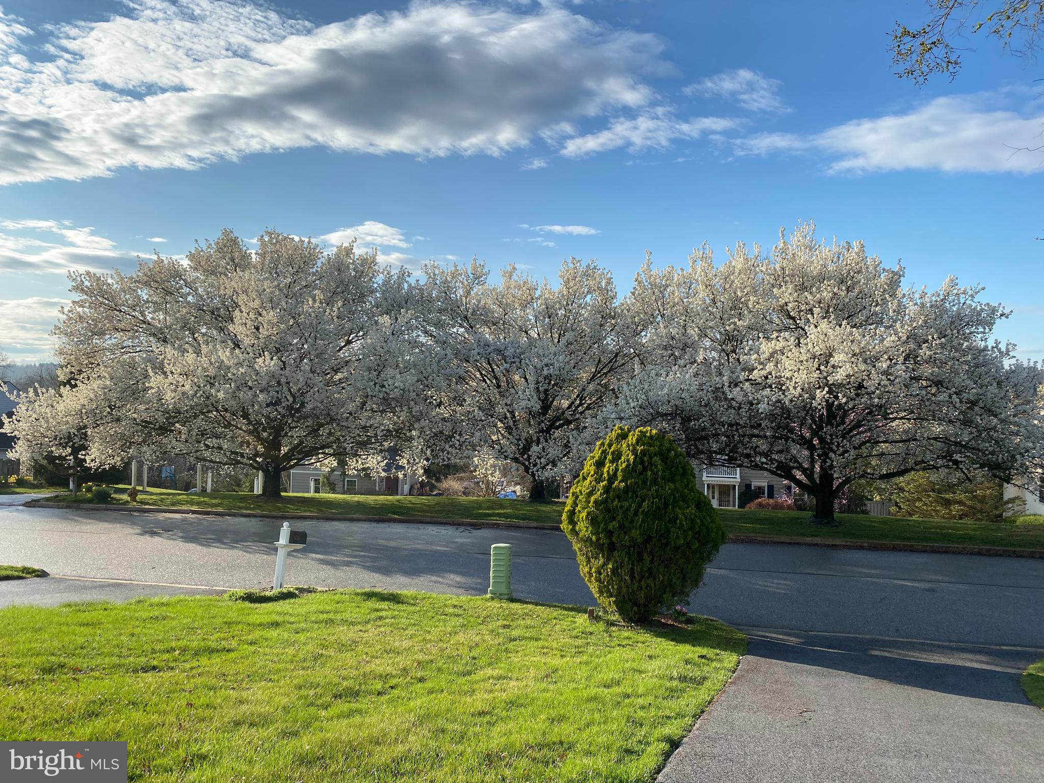 CANTERBURY - Residential