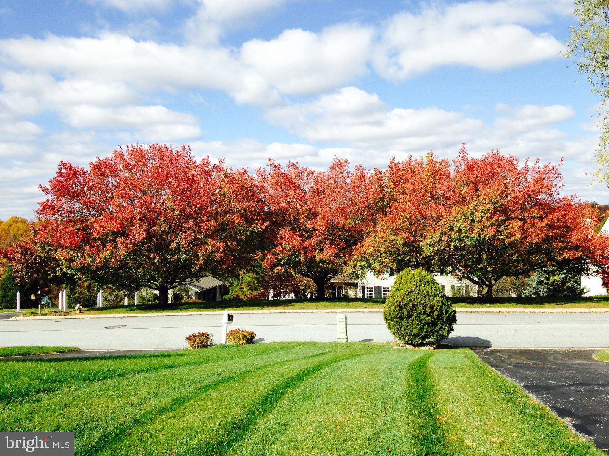 CANTERBURY - Residential