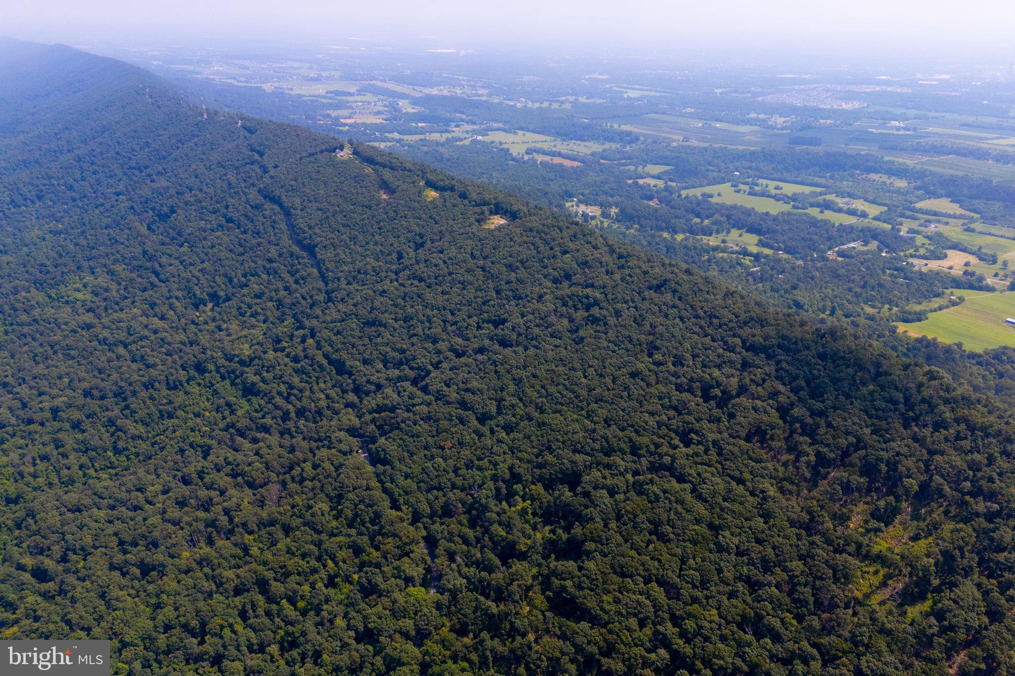 Discover a rare opportunity to own 31.34 acres perched atop a mountain along Radio Tower Road and Tuscarora Pike—perfectly situated for those seeking both privacy and accessibility. Located just minutes from I-81, the property offers convenient access to major commuter routes throughout the Mid-Atlantic, making it an excellent choice for a full-time residence or a peaceful weekend retreat.
The land is wooded and secluded, with the potential for breathtaking panoramic views—including eastward vistas overlooking Martinsburg. Road frontage on both Radio Tower Road and Tuscarora Pike ensures straightforward access.
A perc test completed in 2022 supports the property’s viability for a septic system, giving you a valuable head start toward your build. The current owner has also consulted with a local architect to explore home design possibilities and is happy to connect serious buyers directly for further discussion.
With no HOA restrictions, you have the freedom to create your dream mountain retreat or custom residence—whether modern, rustic, or something uniquely yours.
All this within a short trip to dining, shopping, and daily conveniences—plus direct access to major commuter routes into the heart of the Mid-Atlantic.