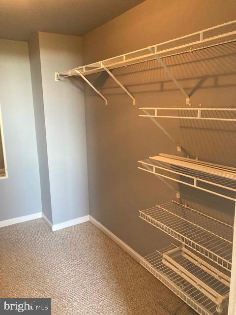 RENAISSANCE - Residential