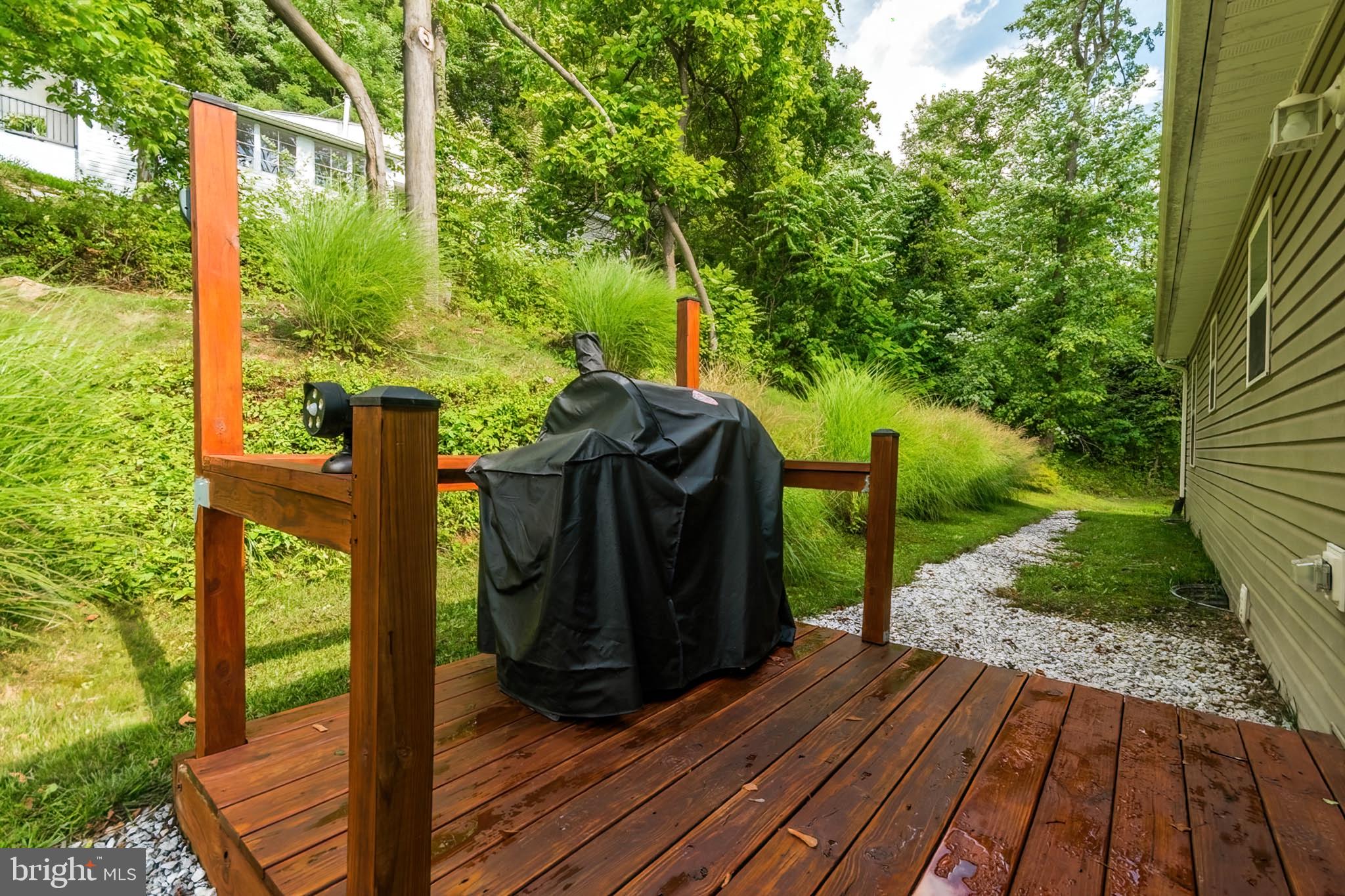 BUENA VISTA - Residential