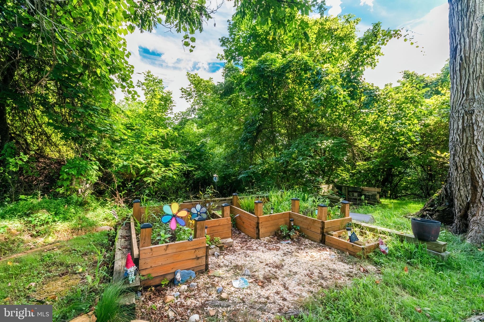 BUENA VISTA - Residential