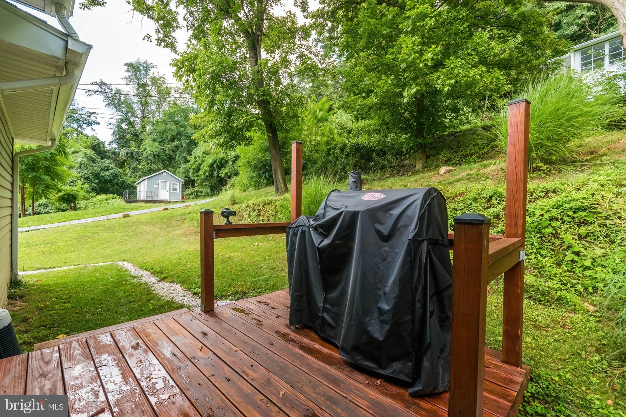 BUENA VISTA - Residential