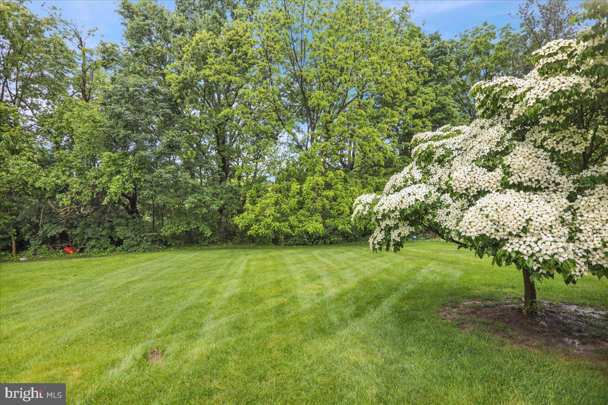 GABLE PARK WOODS - Residential