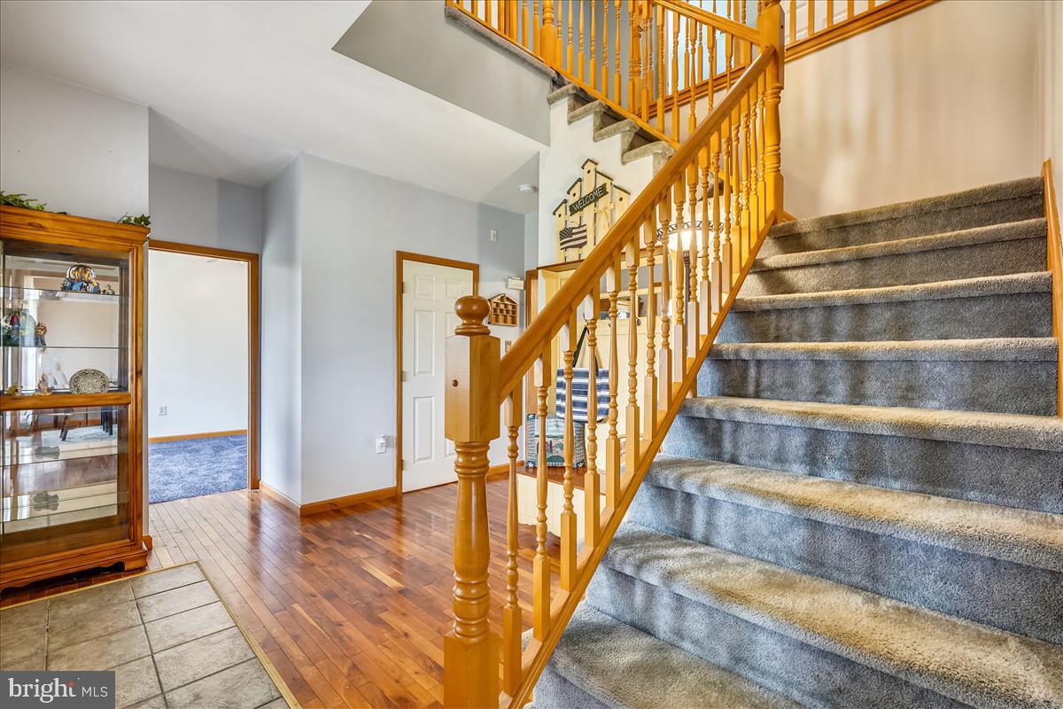 ERBS PLEASURE - Residential