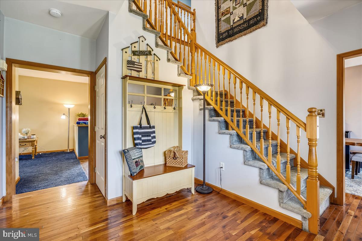 ERBS PLEASURE - Residential