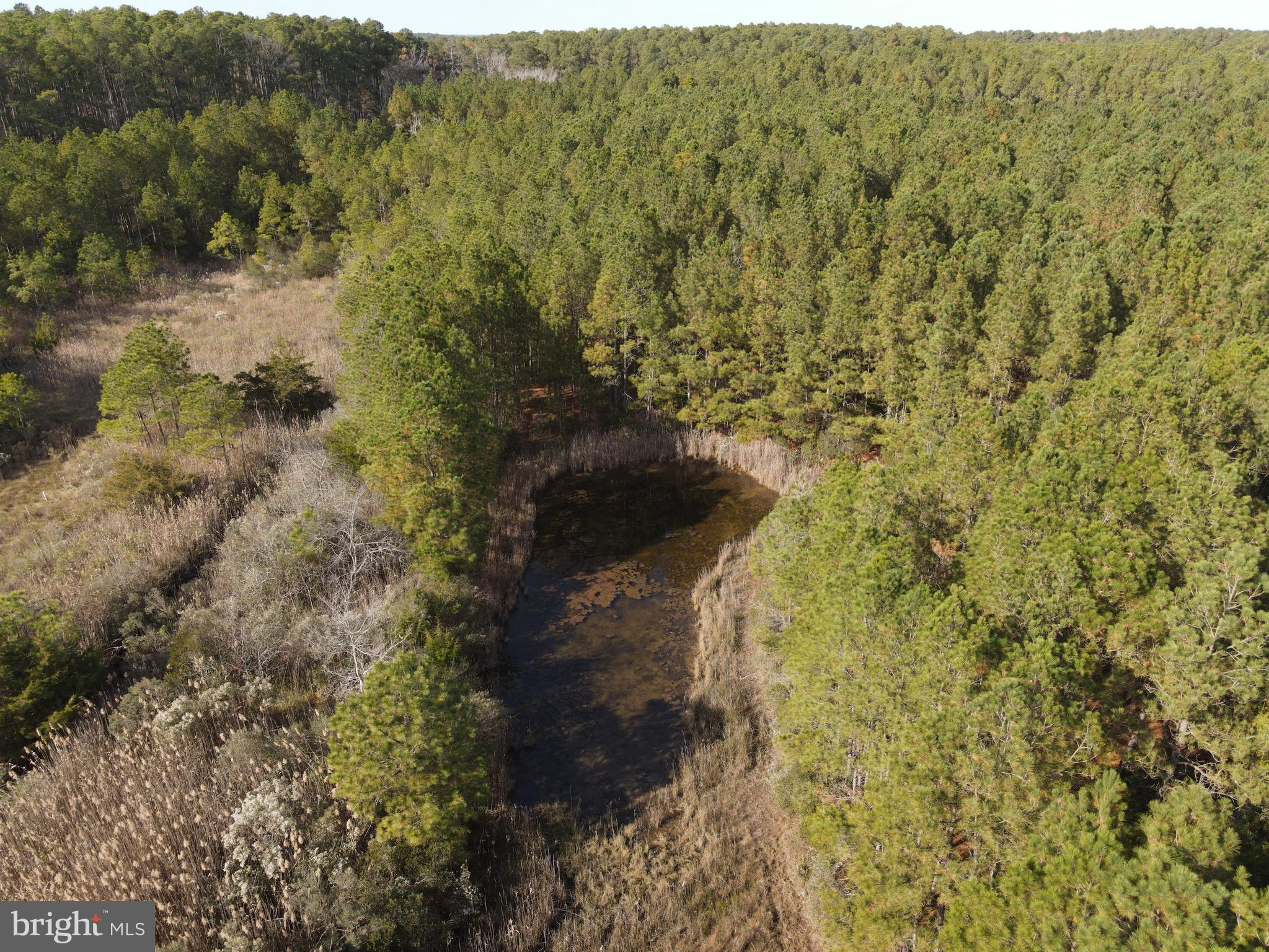 DEAL ISLAND SHORES - Residential