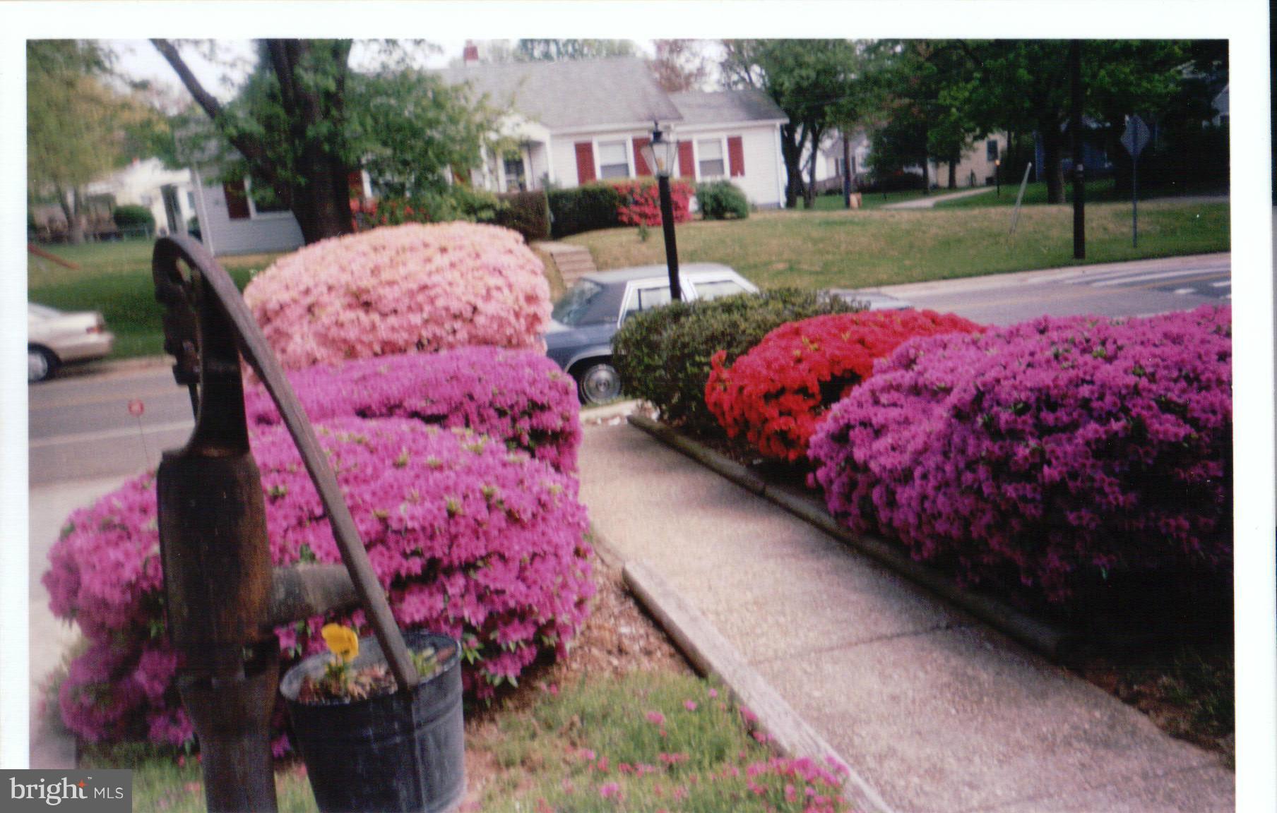 KENSINGTON TERRACE - Residential
