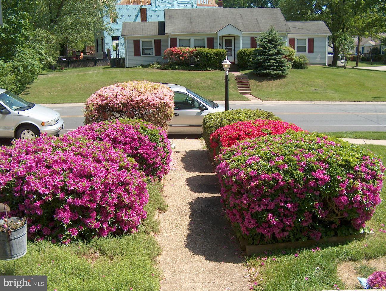 KENSINGTON TERRACE - Residential