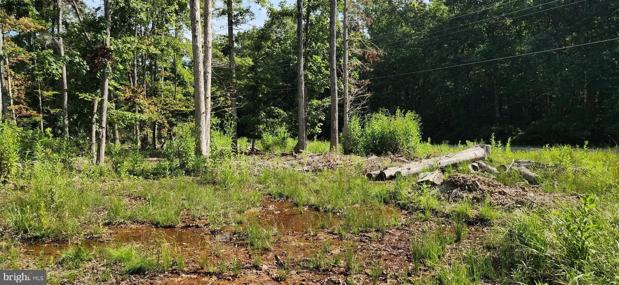 Additional image 45 of Hawthorne, La Plata, MD 20646