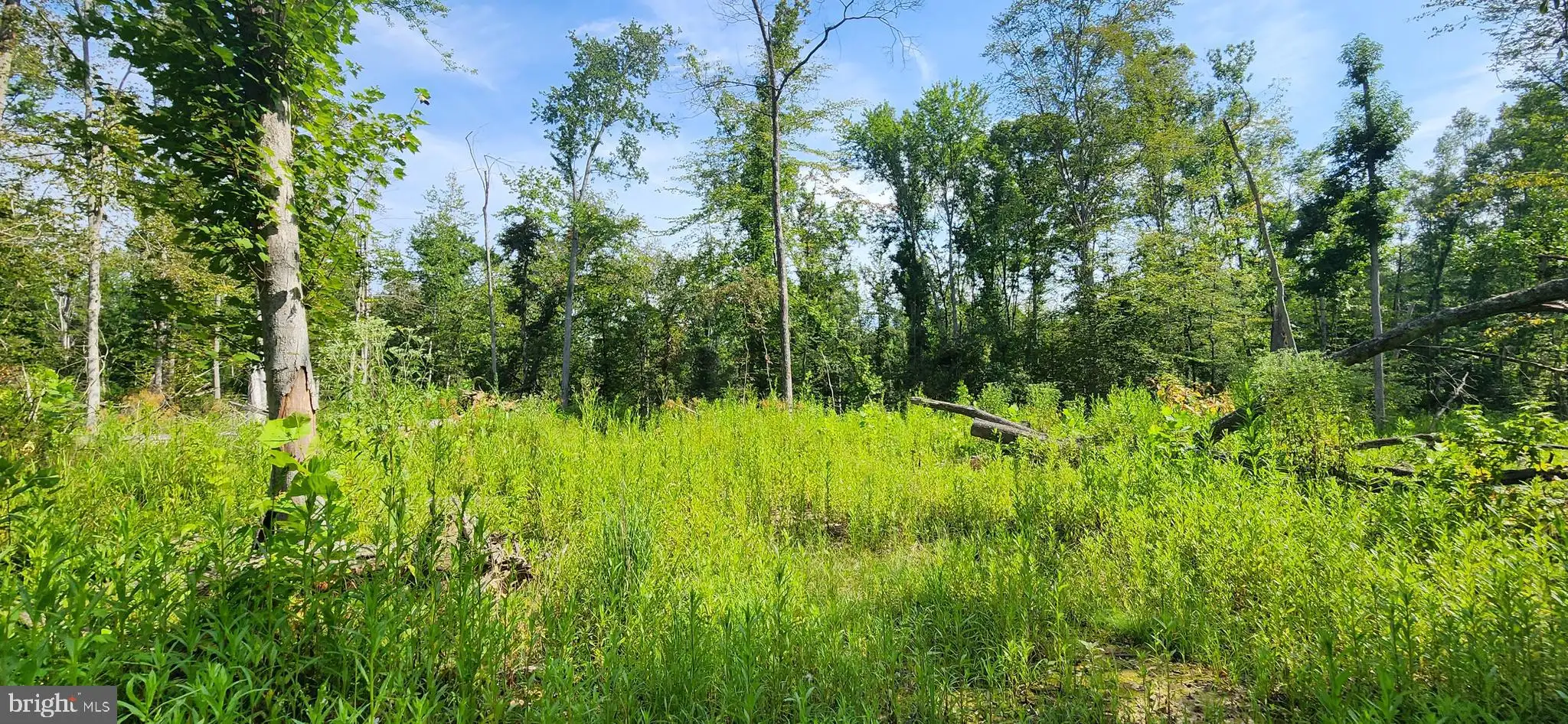 Additional image 54 of Hawthorne, La Plata, MD 20646