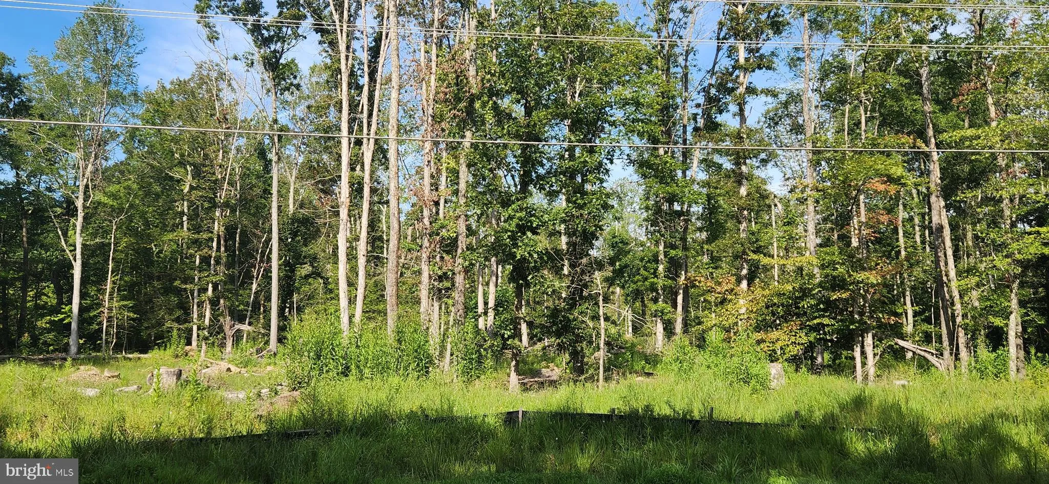 Additional image 34 of Hawthorne, La Plata, MD 20646