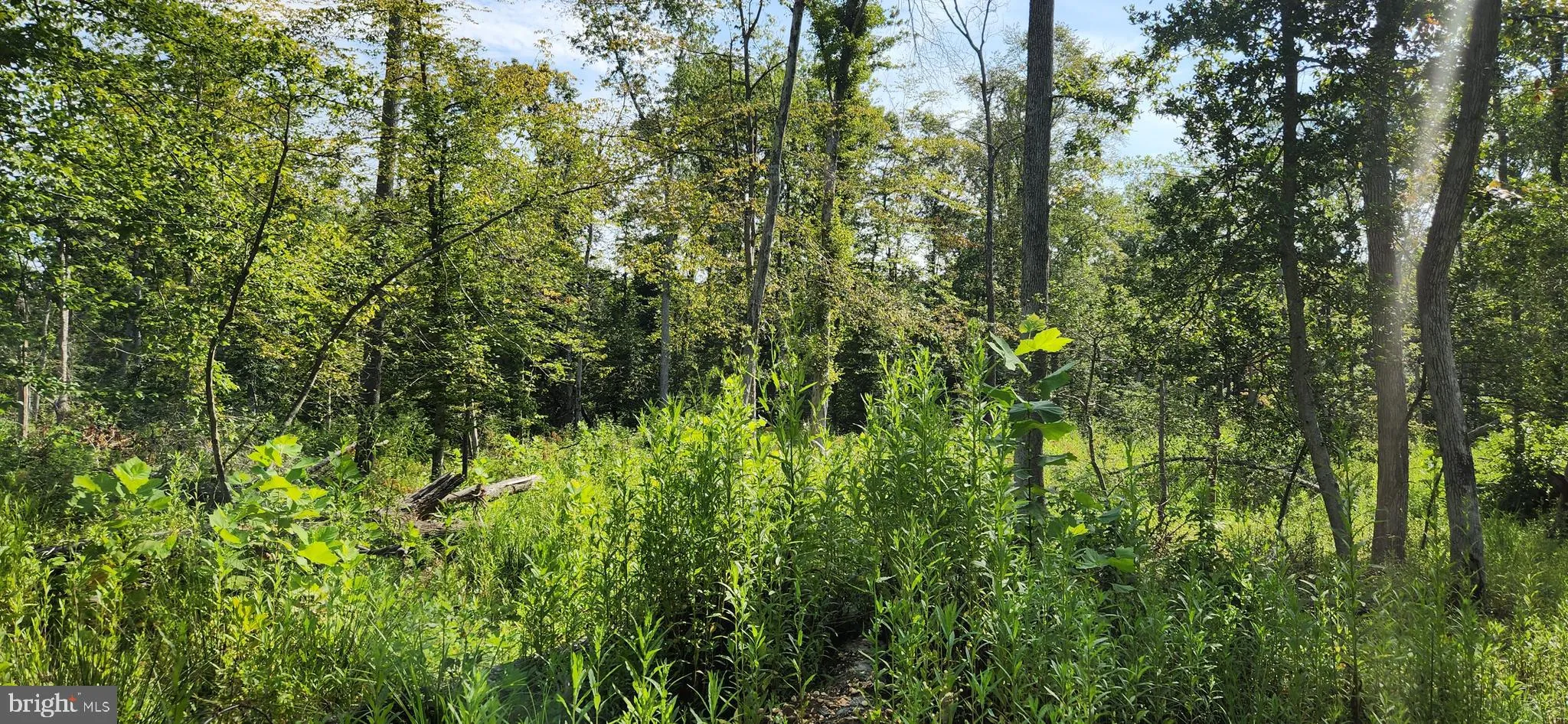 Additional image 50 of Hawthorne, La Plata, MD 20646