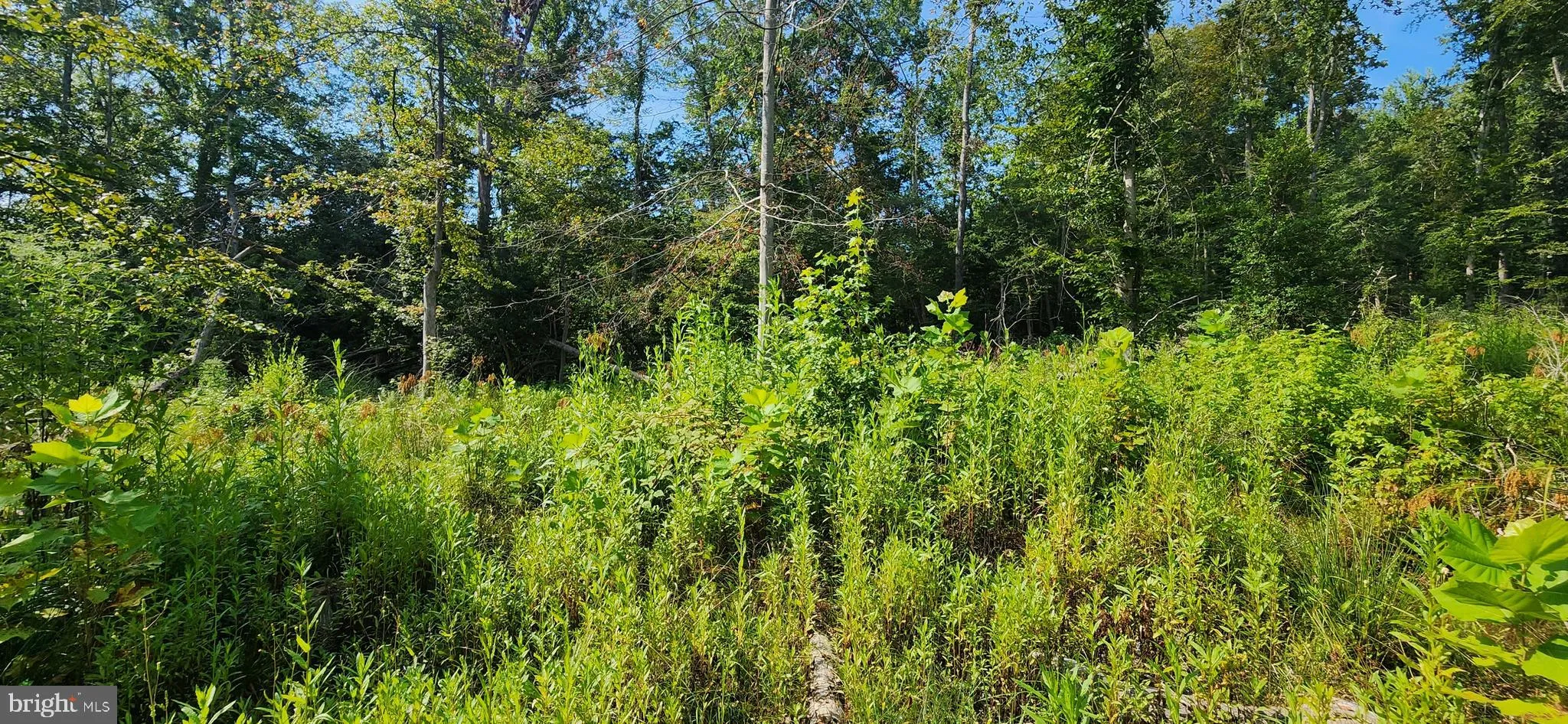 Additional image 53 of Hawthorne, La Plata, MD 20646