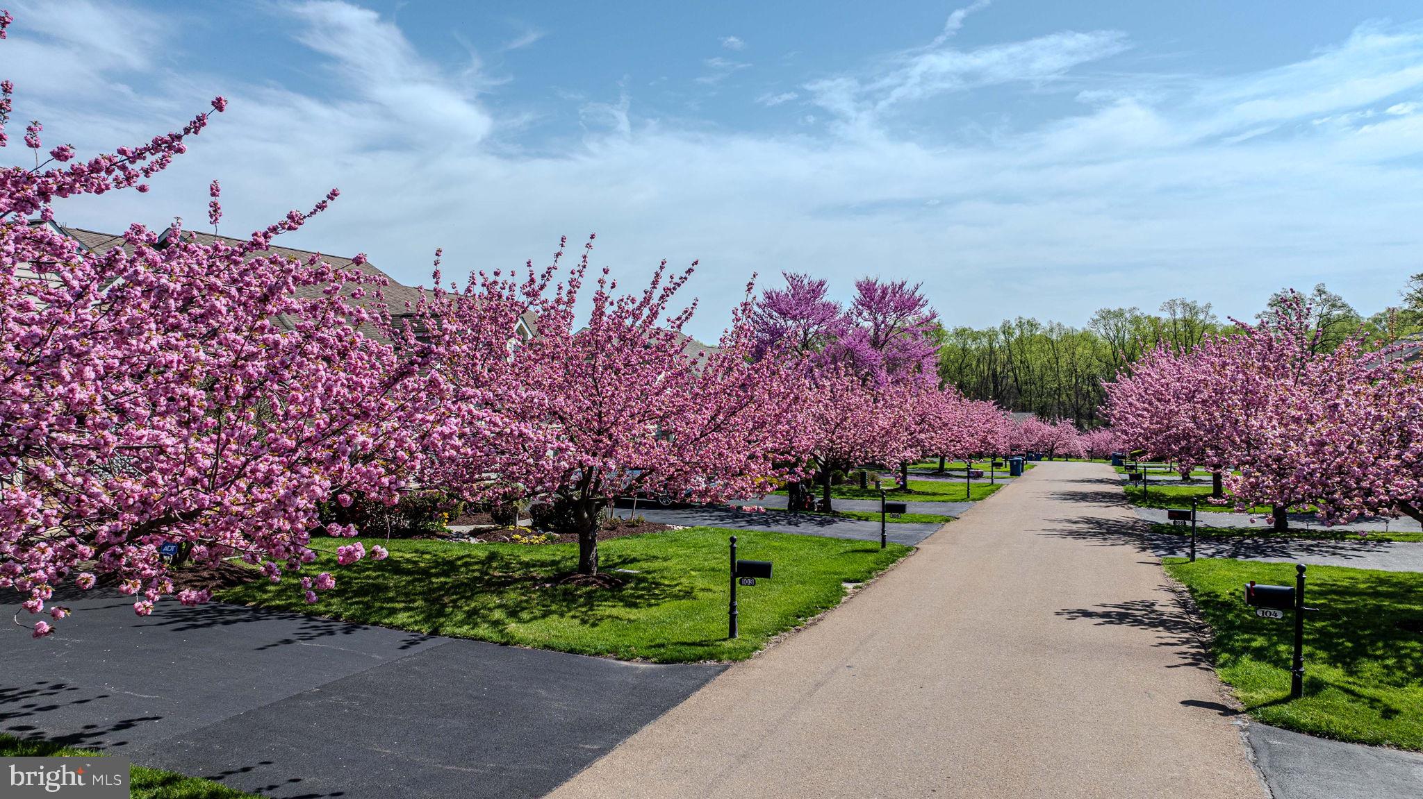 HARTEFELD - Residential