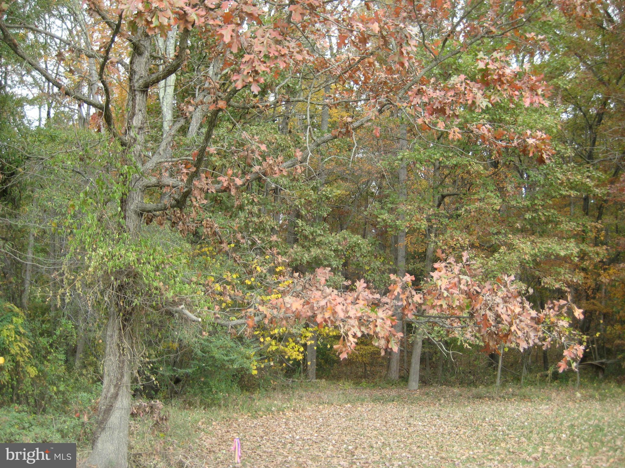 NONE AVAILABLE - Land