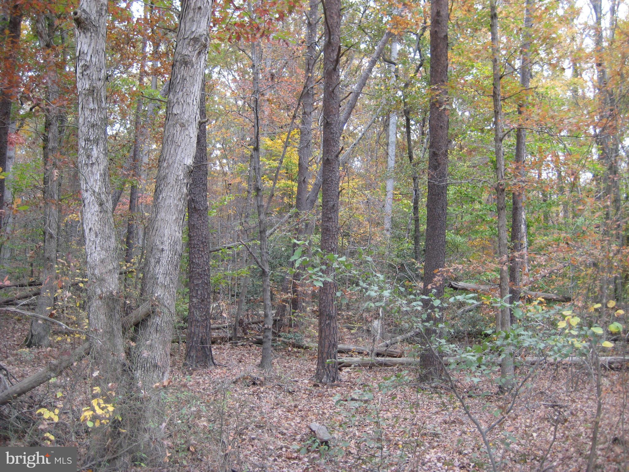 NONE AVAILABLE - Land