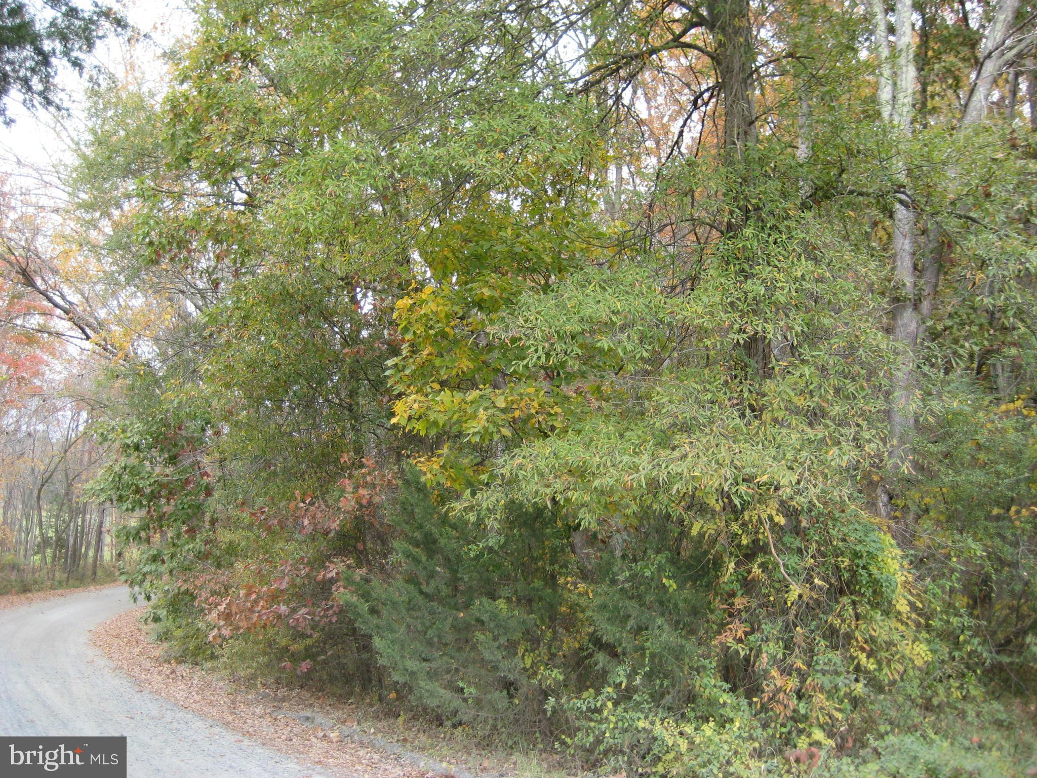 NONE AVAILABLE - Land