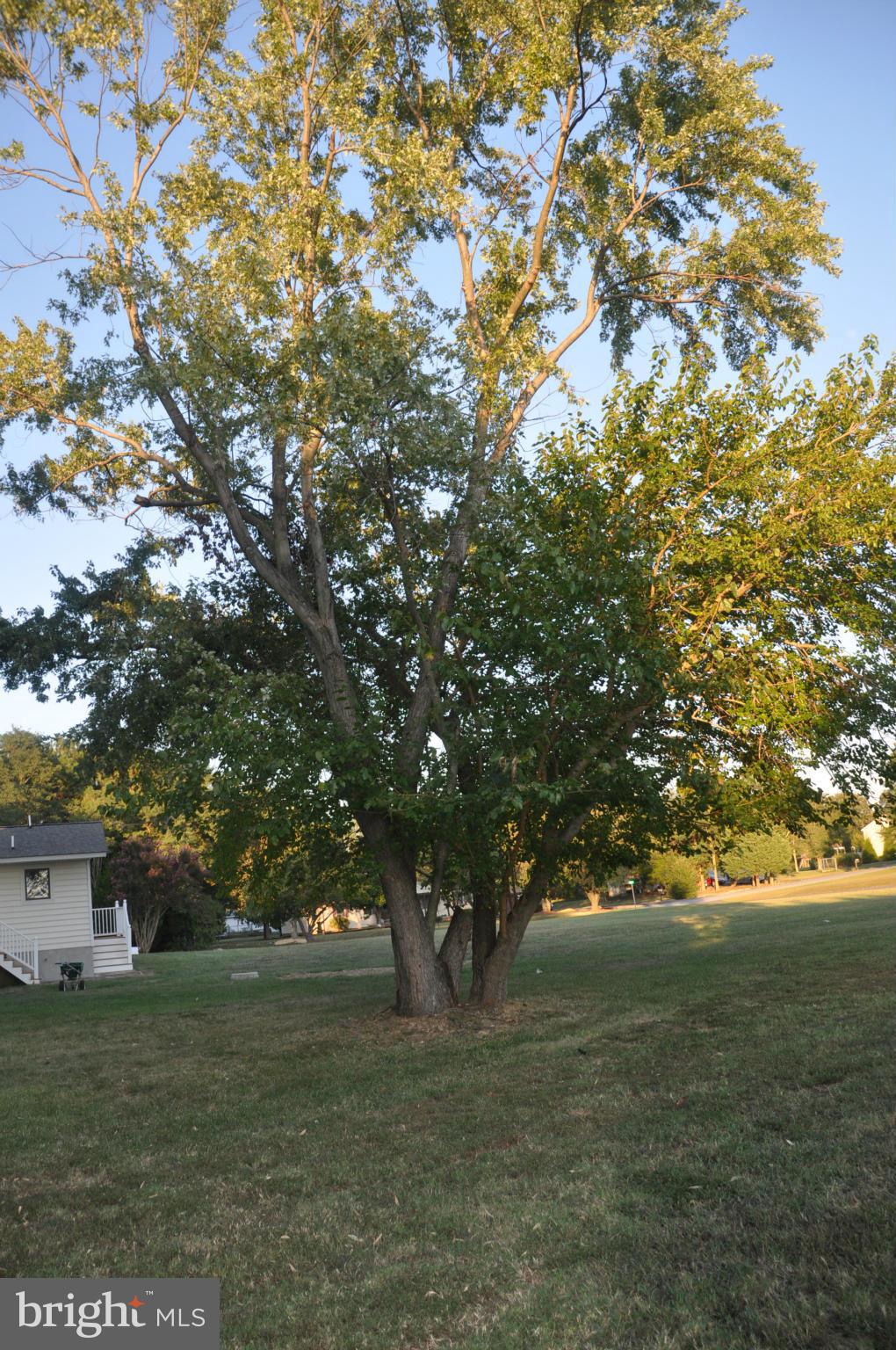 WAVERLY POINT SUB - Residential