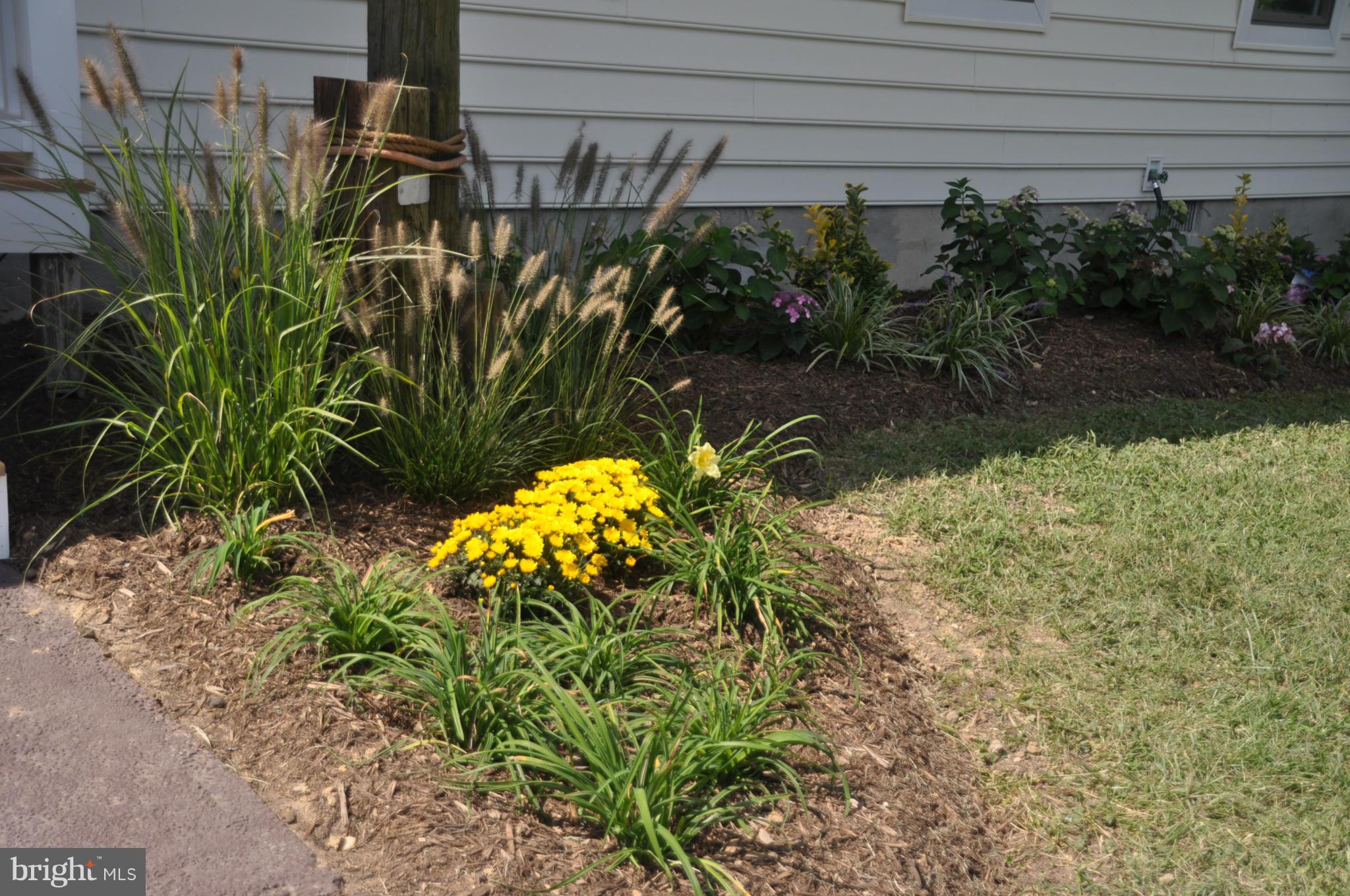 WAVERLY POINT SUB - Residential