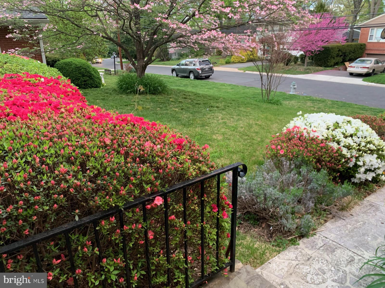 DUNLOP HILLS - Residential