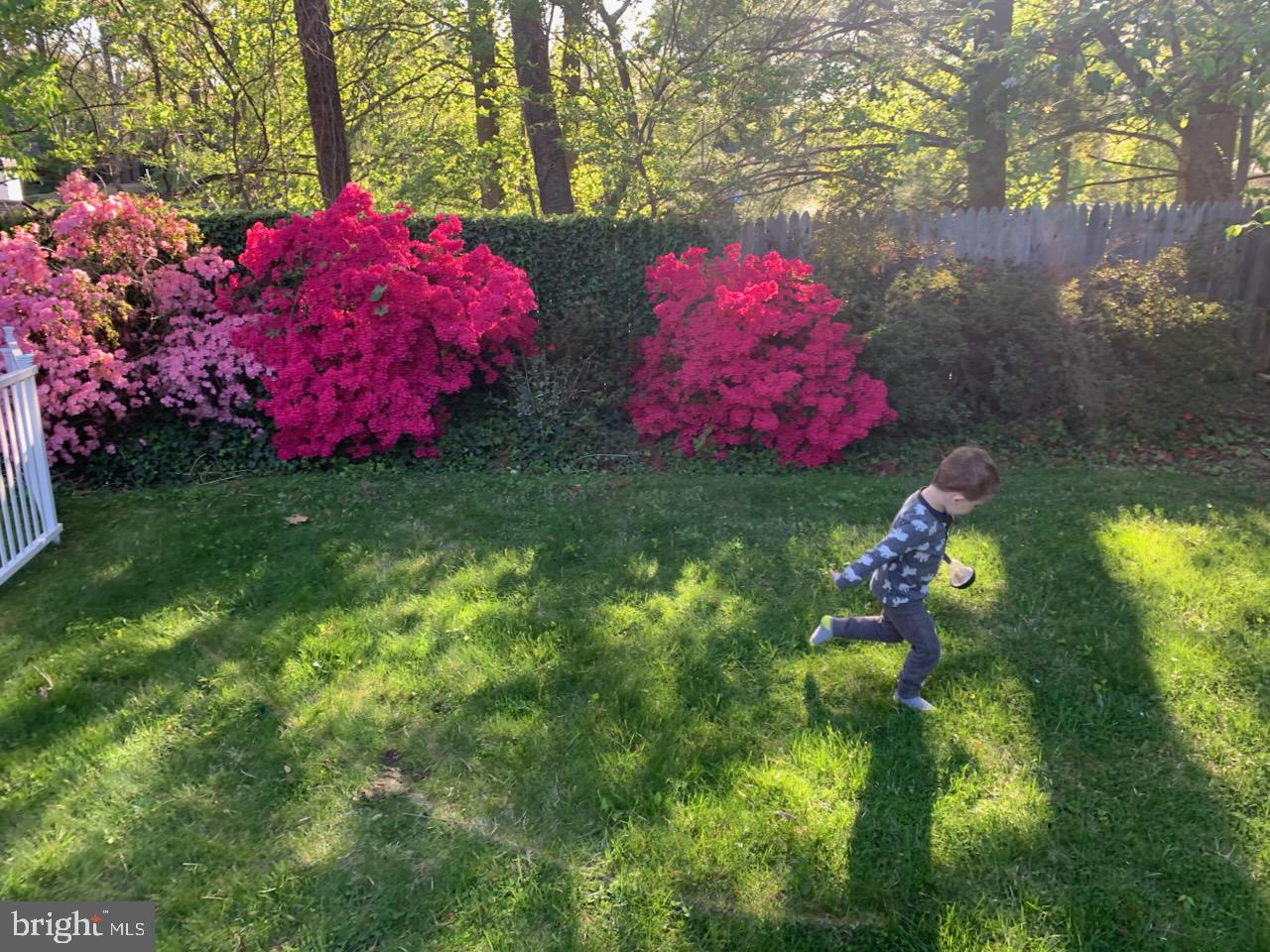 DUNLOP HILLS - Residential