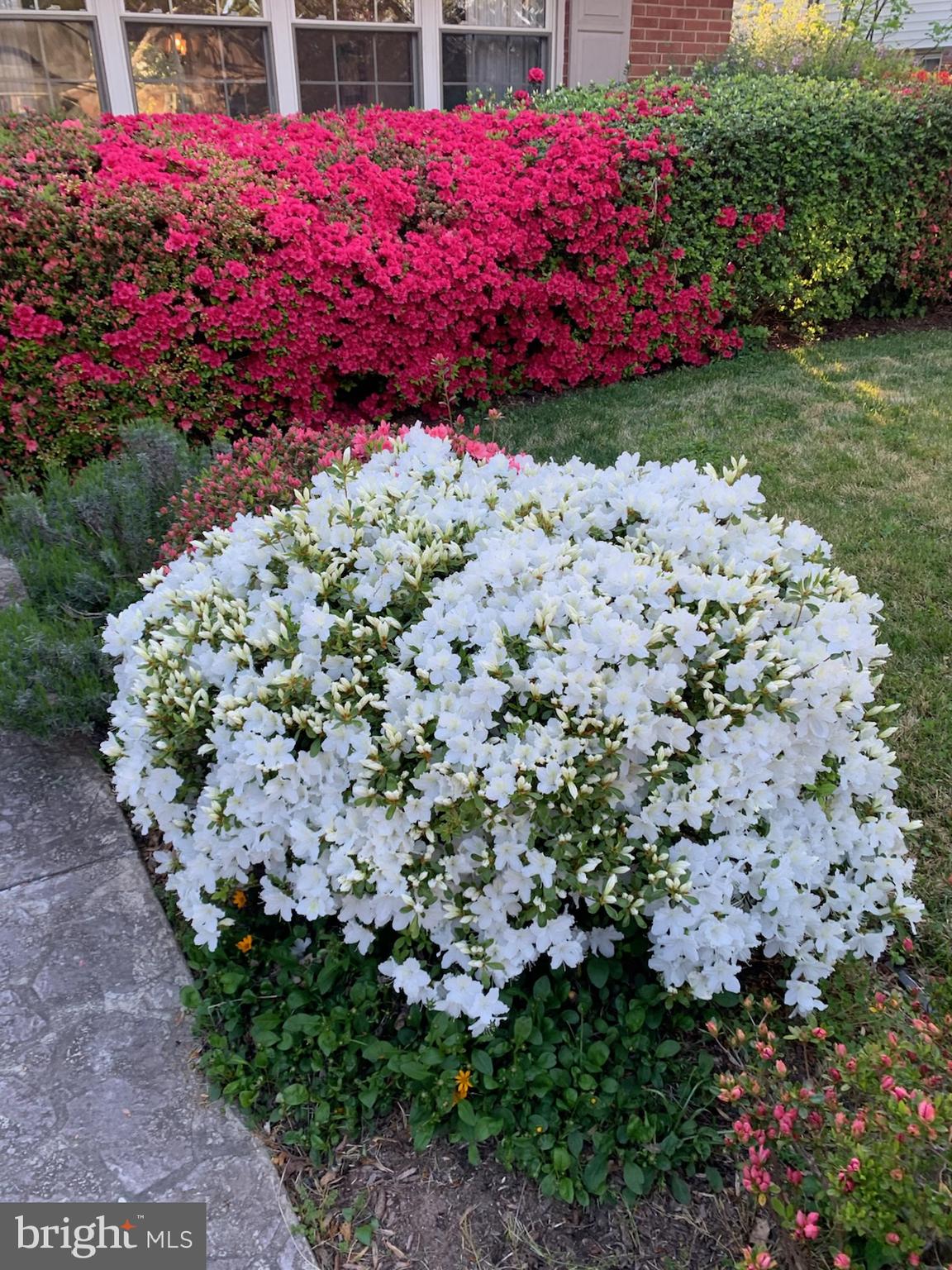 DUNLOP HILLS - Residential