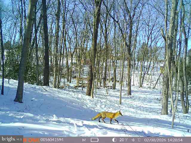 401 Beck Mill Rd BECK MILL RD