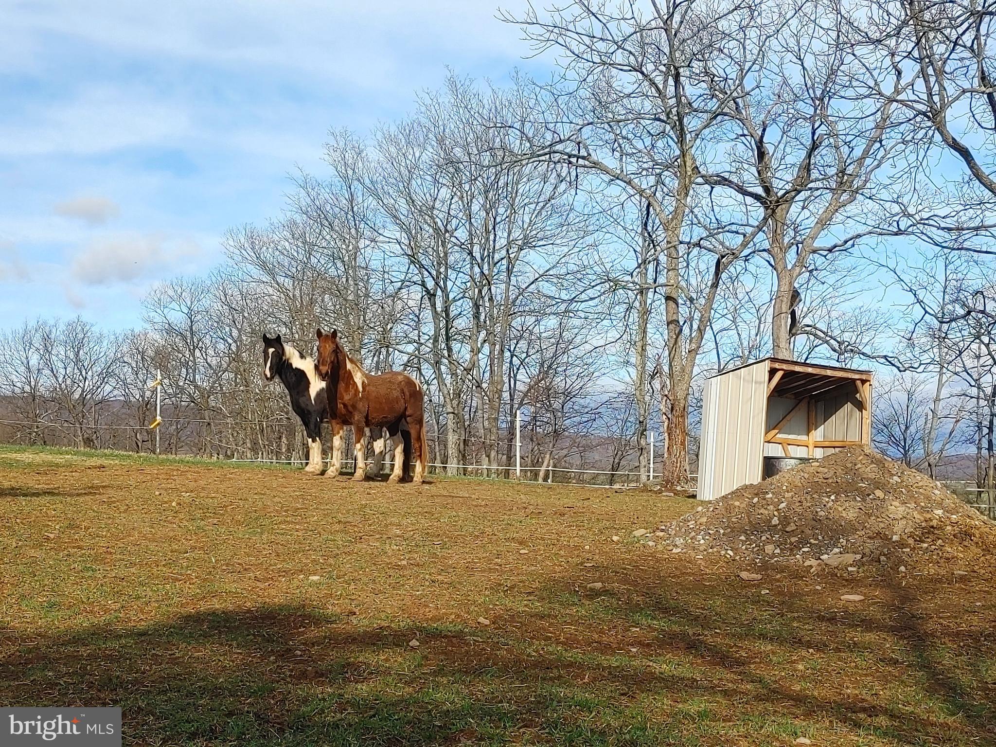 TYRONE - Residential