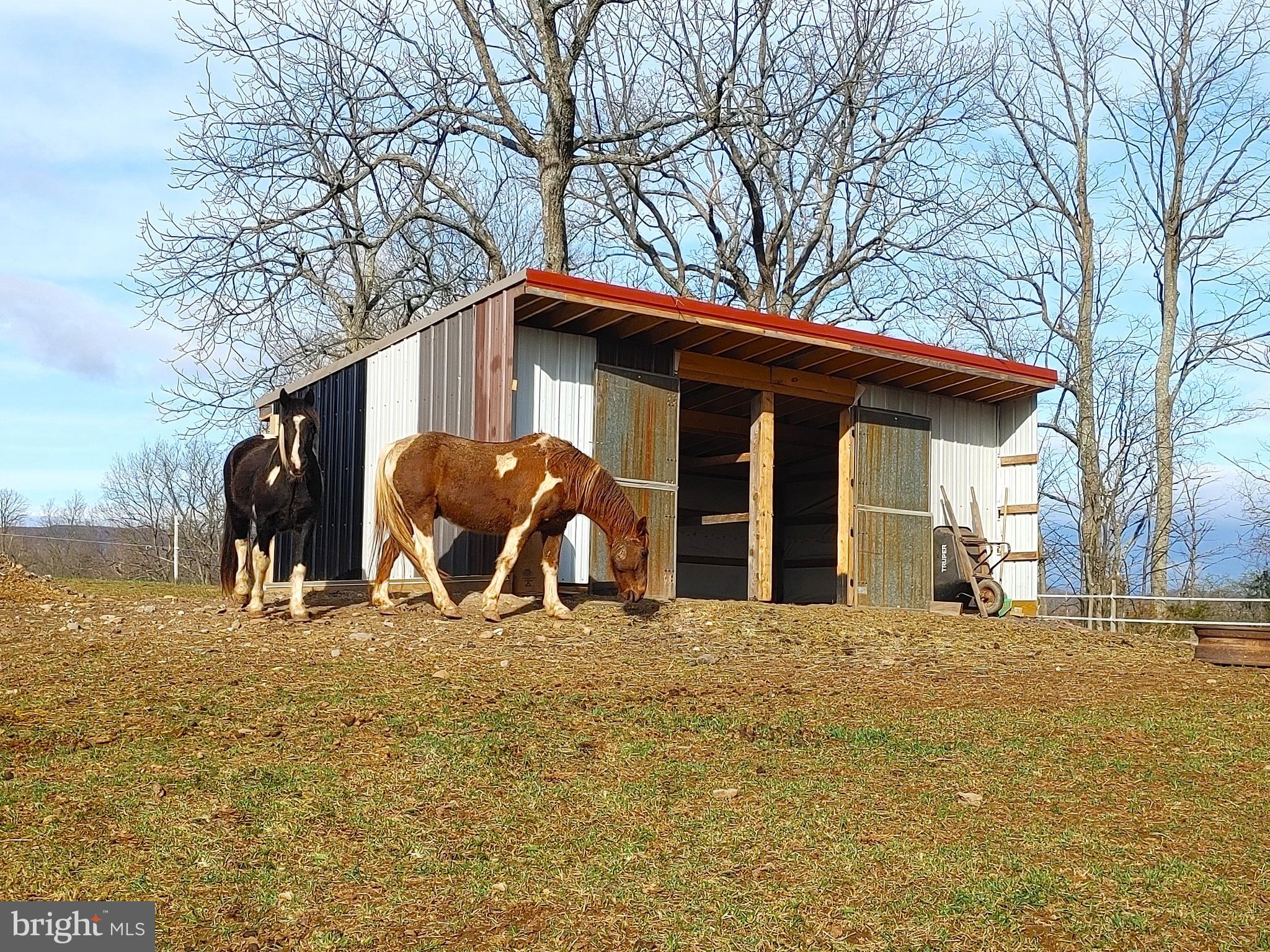 TYRONE - Residential