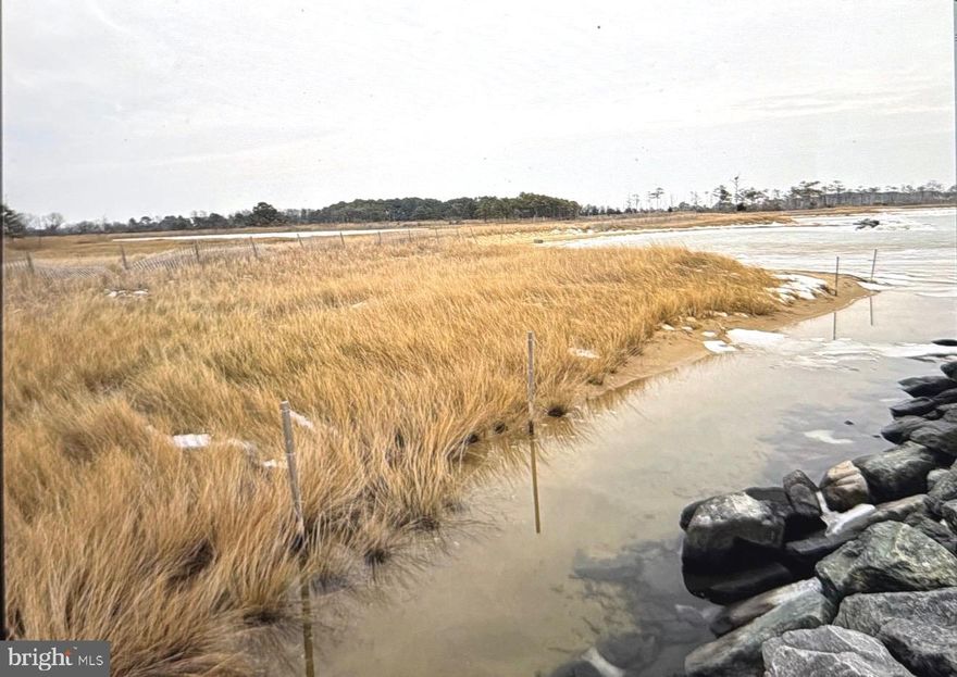 This beautiful, serene wetlands located at the Tangier Sounds brings  you close to nature and the water is full of opportunities.   Park at the end of Crowell Road (walk around to access the water) Bring your mini pop up camper, tent,  canoe, and fishing rod for the weekend to your very own water front access land.
*Taxes are not accurate. Seller disputed them and they have been significantly reduced.