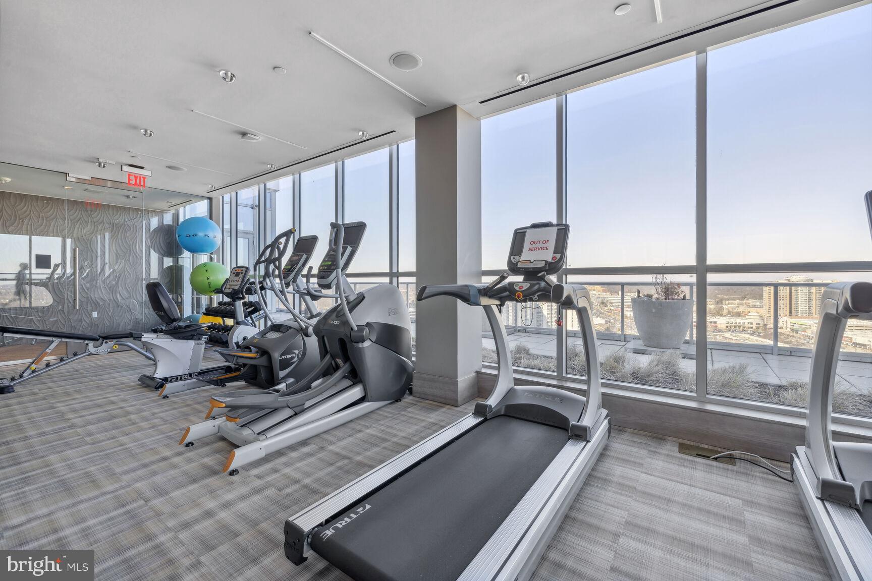 PIKE AND ROSE - Residential