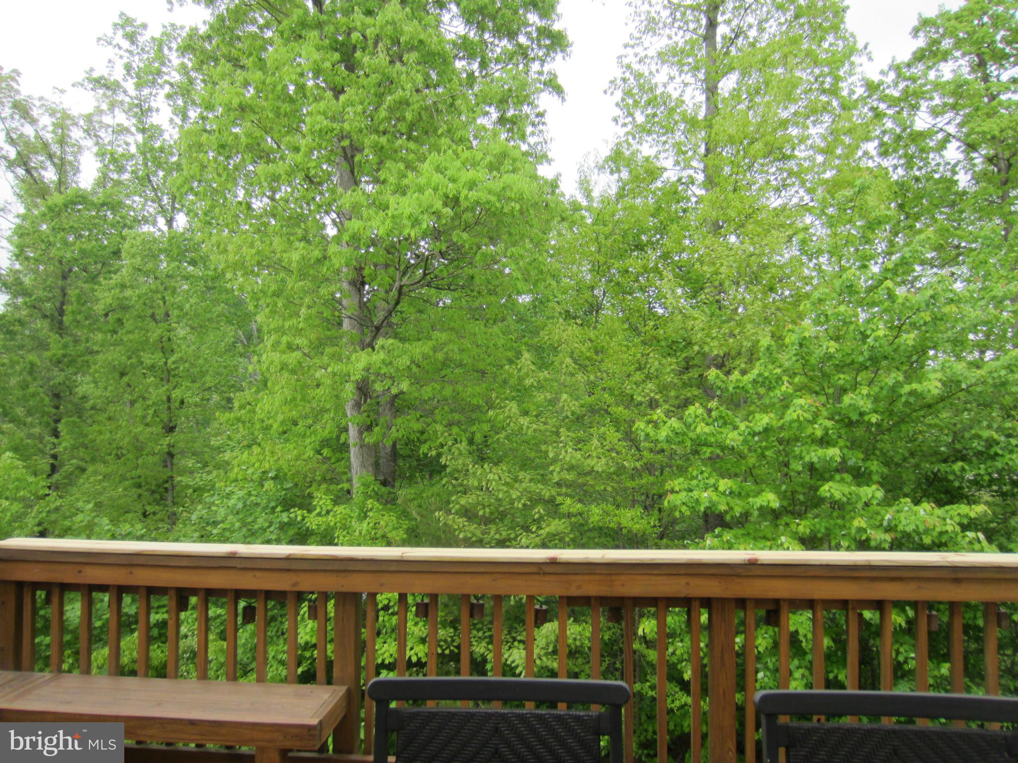 ALTA COURTHOUSE SQUARE - Residential