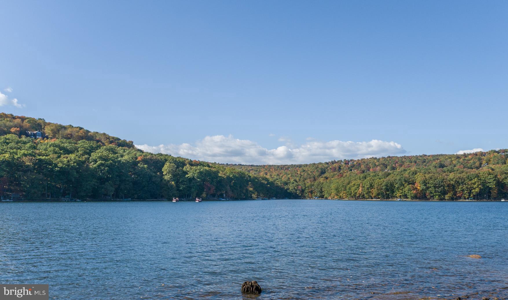 LAKE SHORE DRIVE - Residential
