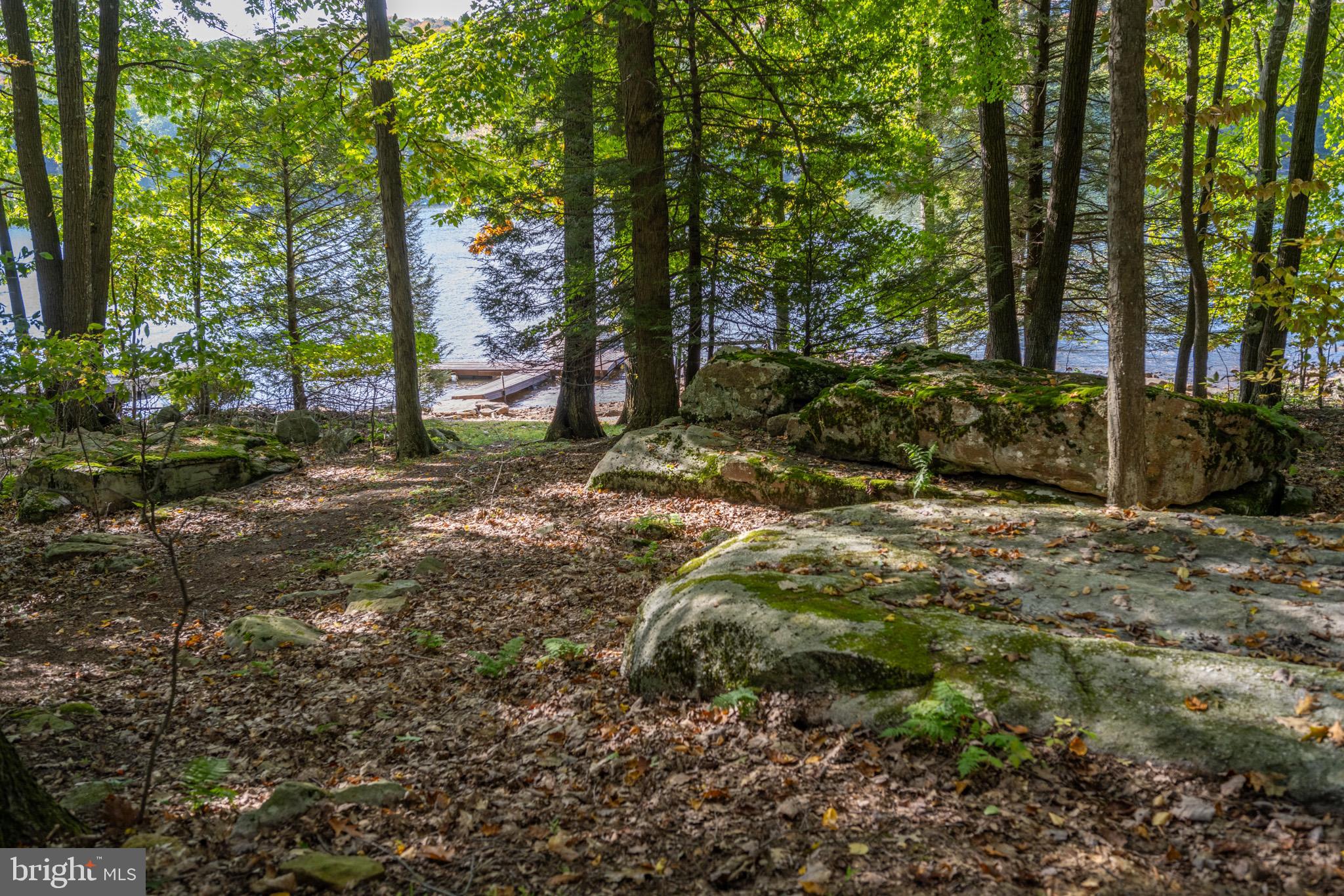 LAKE SHORE DRIVE - Residential