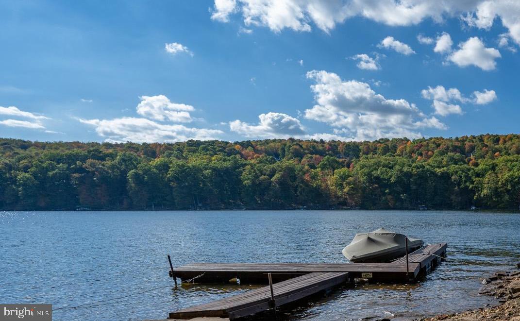 LAKE SHORE DRIVE - Residential