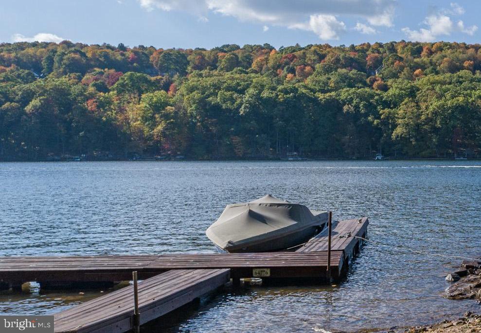 LAKE SHORE DRIVE - Residential