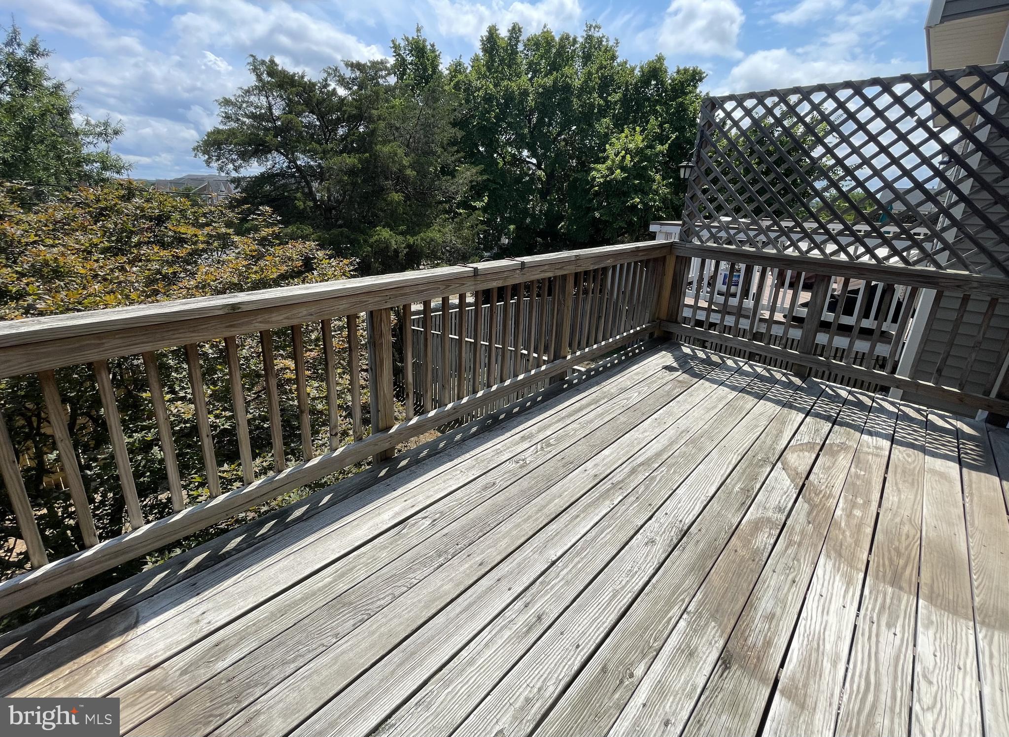 SYCAMORE HILL - Residential Lease