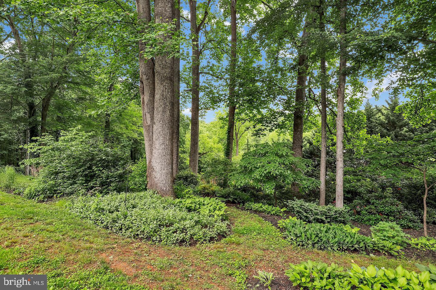 DARNESTOWN OUTSIDE - Residential