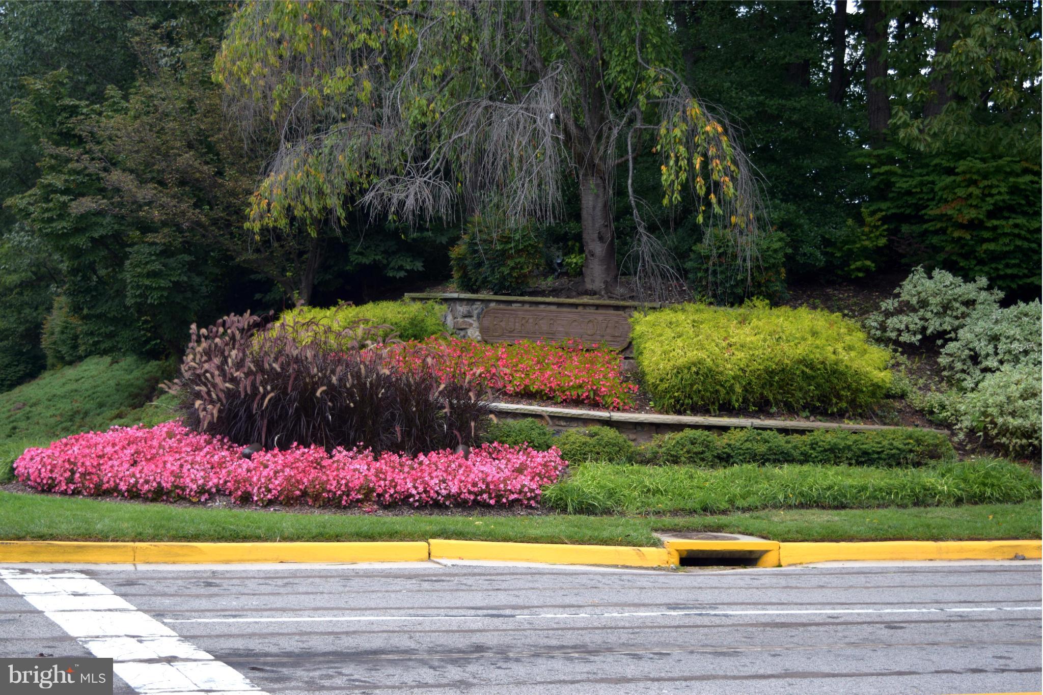 BURKE COVE - Residential