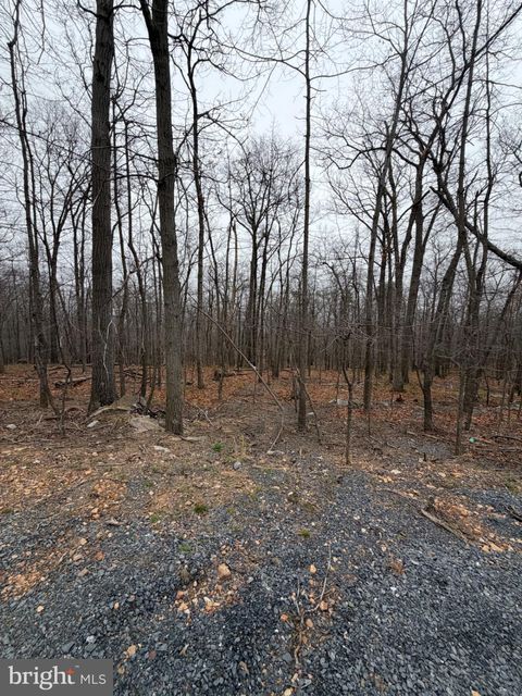 ARBUTIS TRL STAR TANNERY VA 22654