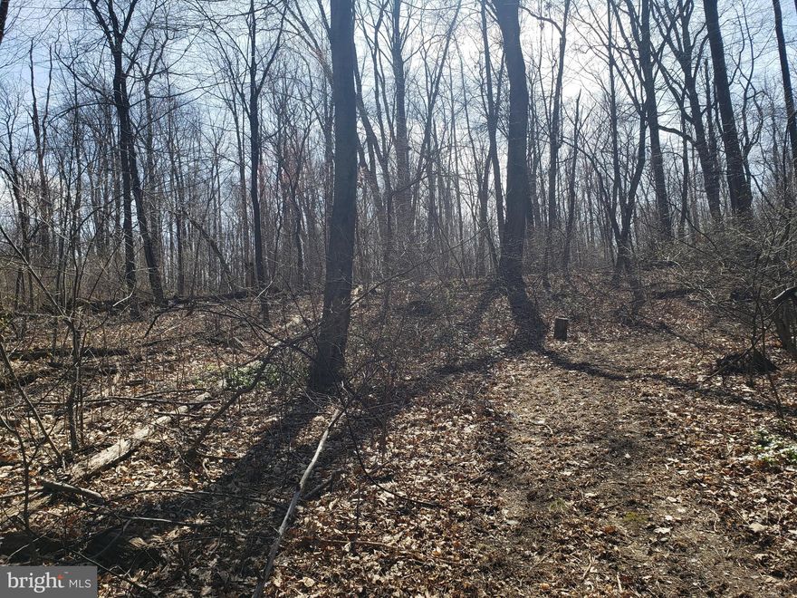 2.18 Acre lot in the middle of the woods. Property is currently land locked. Property has recently been logged out. Seller lives adjacent to the lot and will allow access through his property. Land can be hunted on( Archery Only).  Please do not go look without an appointment!