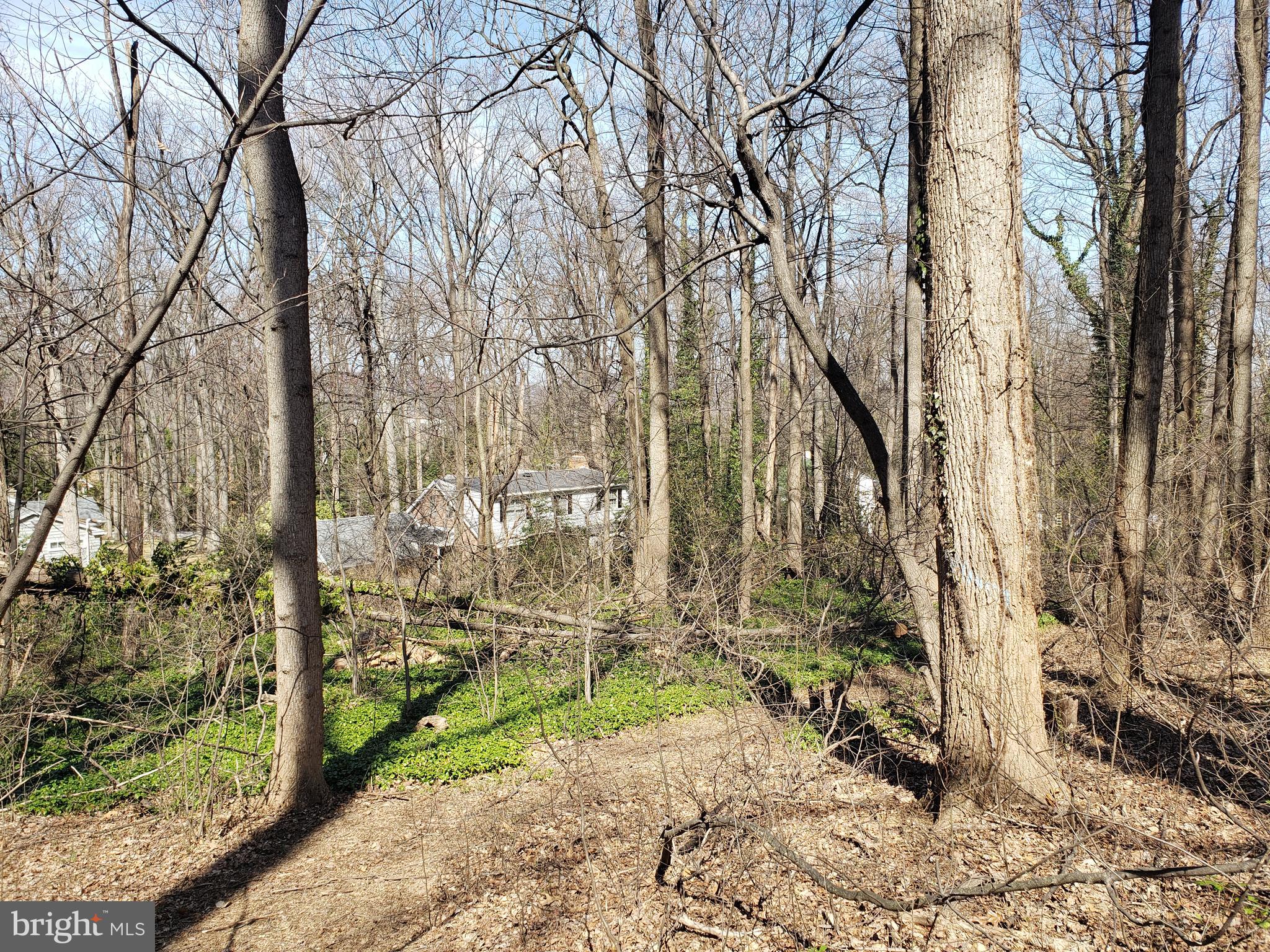 731 LOCUST GROVE ROAD