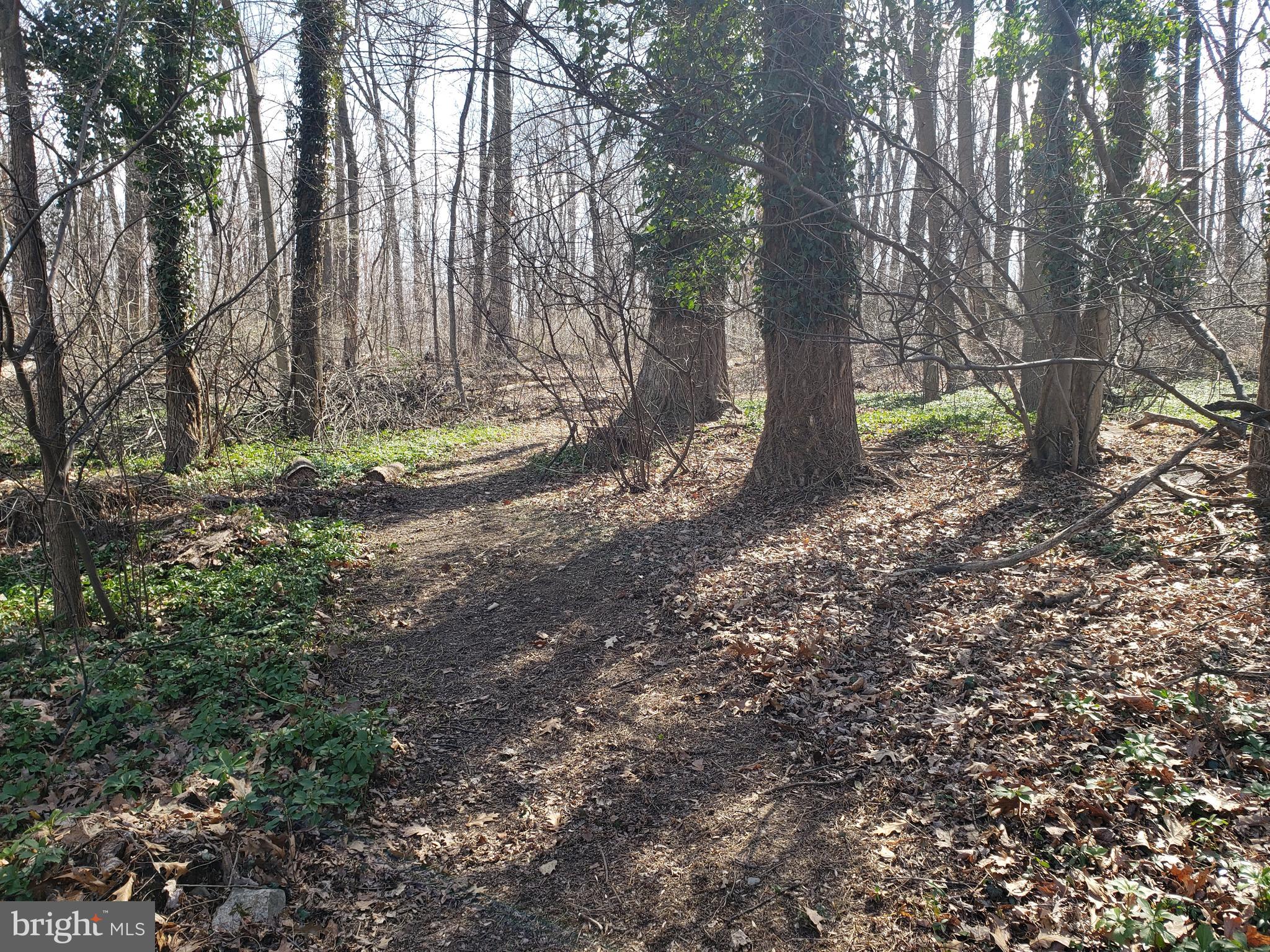 731 LOCUST GROVE ROAD