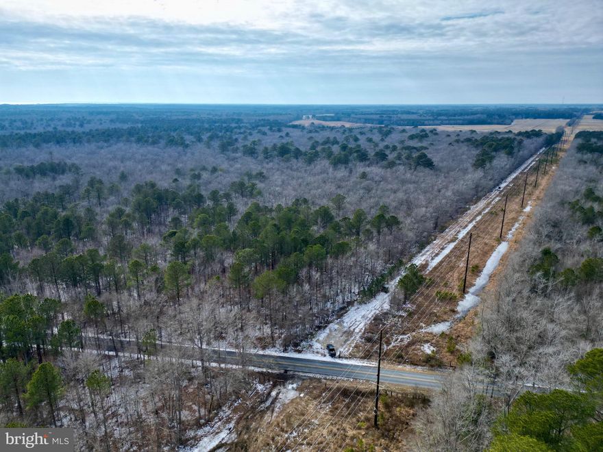 Everyone is always asking for hunting land, so here you go! Discover the possibilities with this beautiful parcel located on Holly Grove Road in Berlin.  This sale includes 2 parcels totaling a little over 10.5 acres. Sale includes both deer stands on the property.  Prime location for some of the best deer and turkey hunting in the area, Holly Grove Road is filled to the brim with wildlife. Located 5 minutes from Ocean City, you can pull your truck up to the gate, walk 100 feet and shoot a deer. Call today to secure your next purchase. Do not walk or enter onto any land without calling listing agent. These lots are non-buildable. Buyers and buyers agents to do all due diligence on the land.