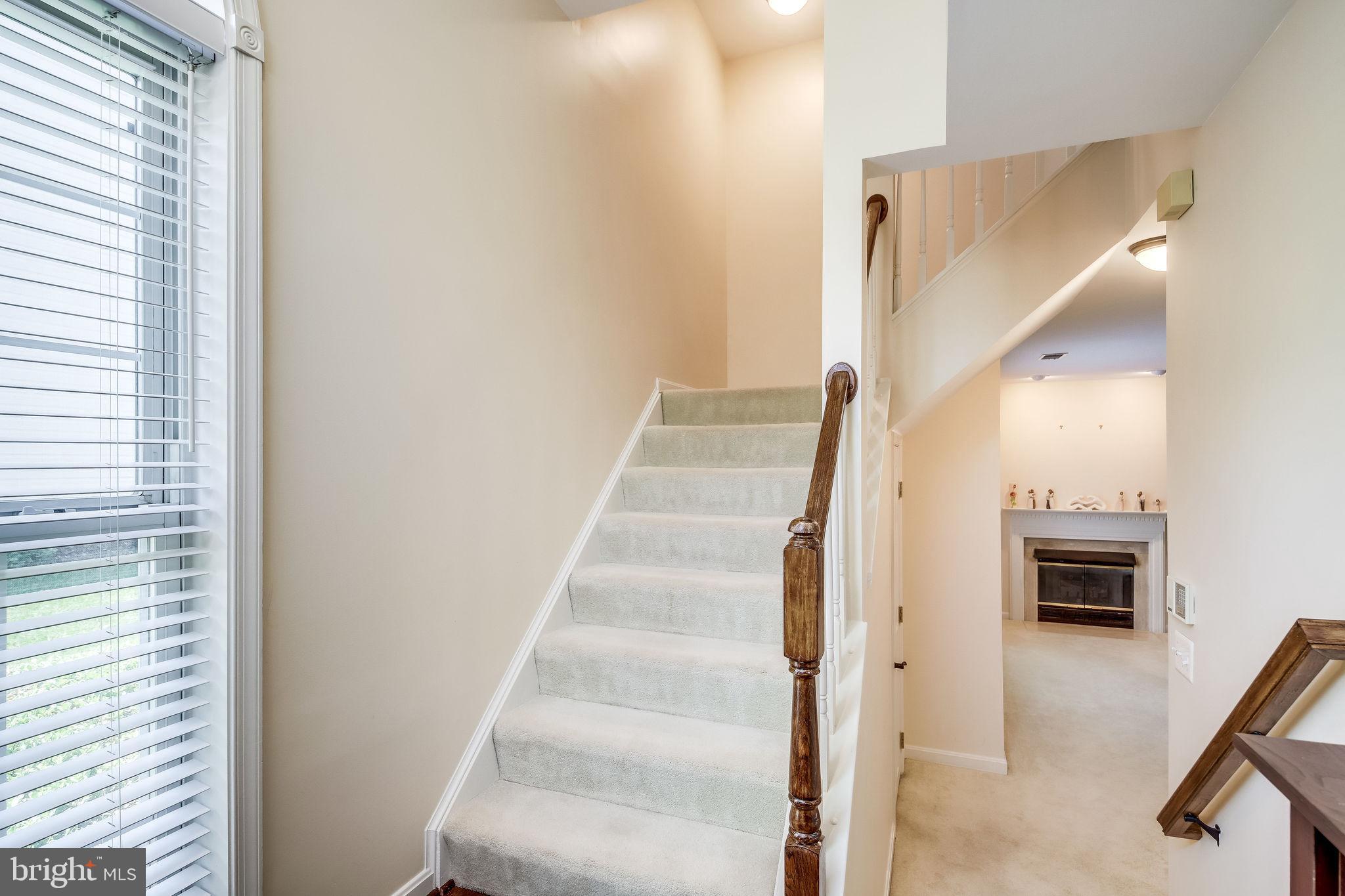 POTOMAC FALLS - Residential