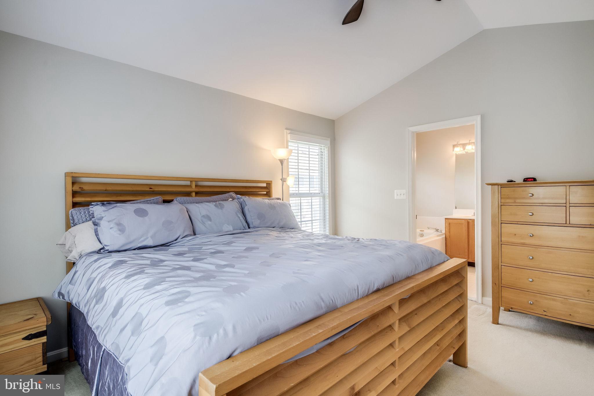 POTOMAC FALLS - Residential