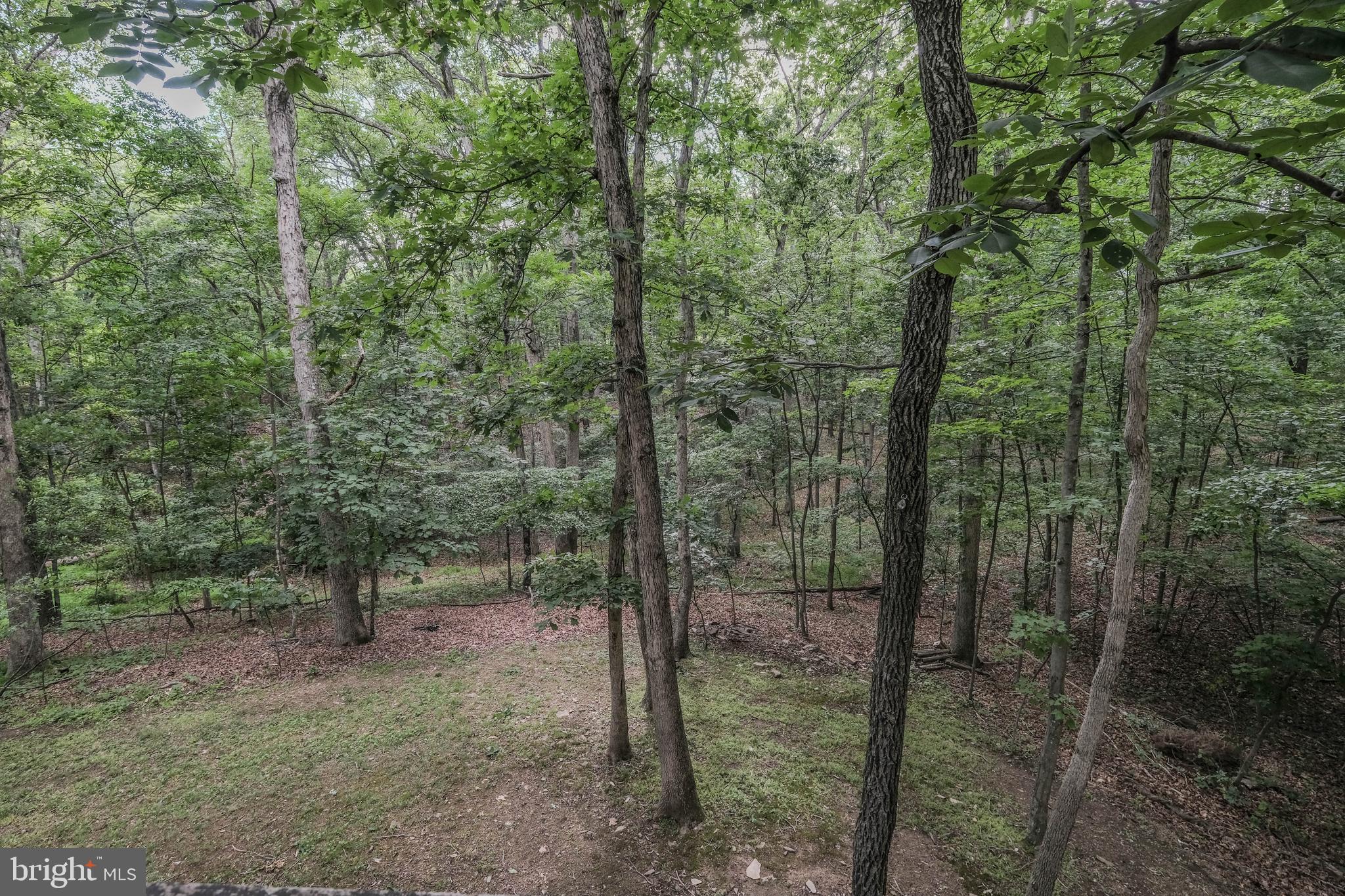 LAKE HOLIDAY ESTATES - Residential