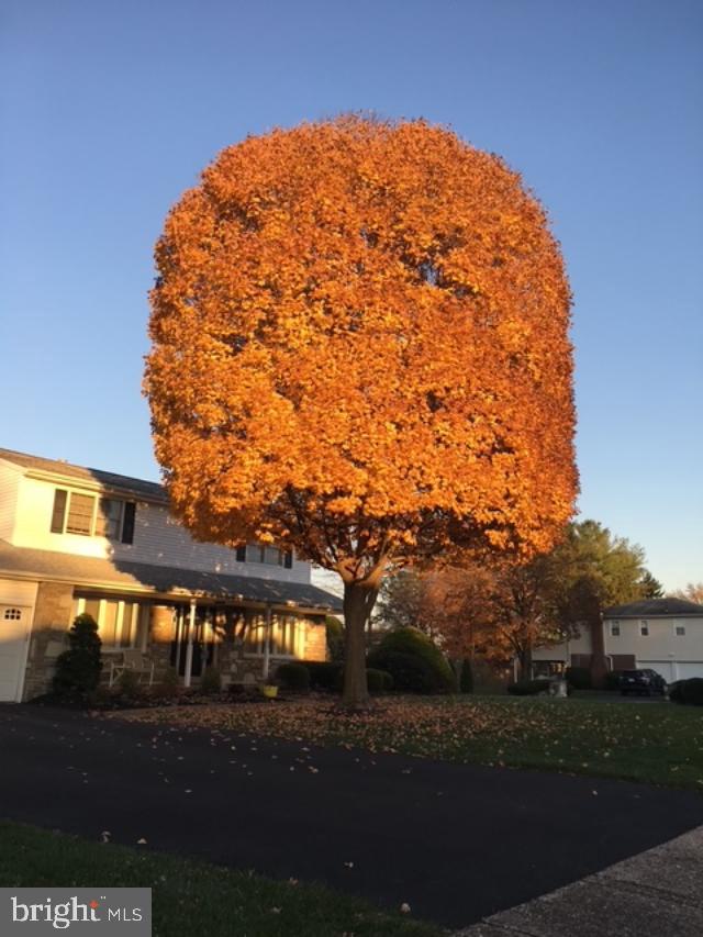 ALBIDALE - Residential